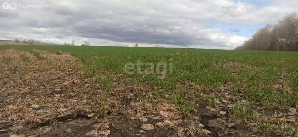 Участок в Бессоновский район, садоводческое некоммерческое ... - Фото 0