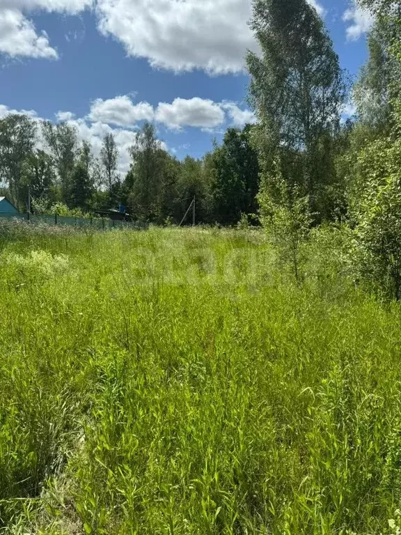 Участок 10 сот. (ИЖС) - Фото 0