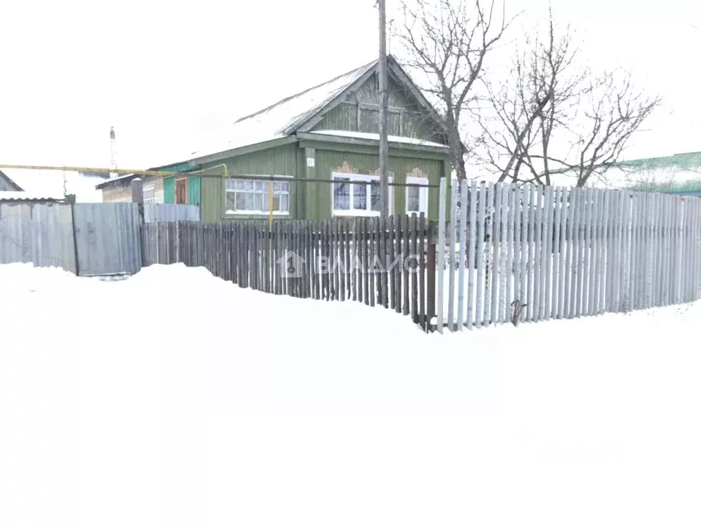 Дом в Пензенская область, Бессоновский район, с. Вазерки ул. Елшанка, ... - Фото 0