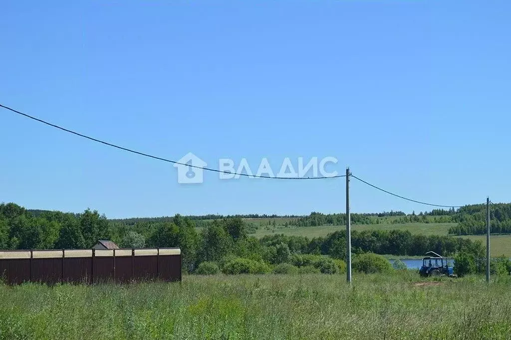 Участок в Нижегородская область, Богородский муниципальный округ, д. ... - Фото 1