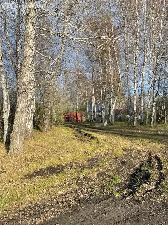 Участок в Тюменский муниципальный округ, деревня Коняшина (7.9 м) - Фото 2