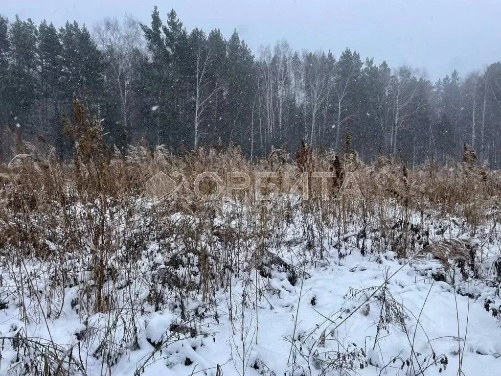 Участок в Тюменская область, Тюменский муниципальный округ, д. Якуши ... - Фото 1
