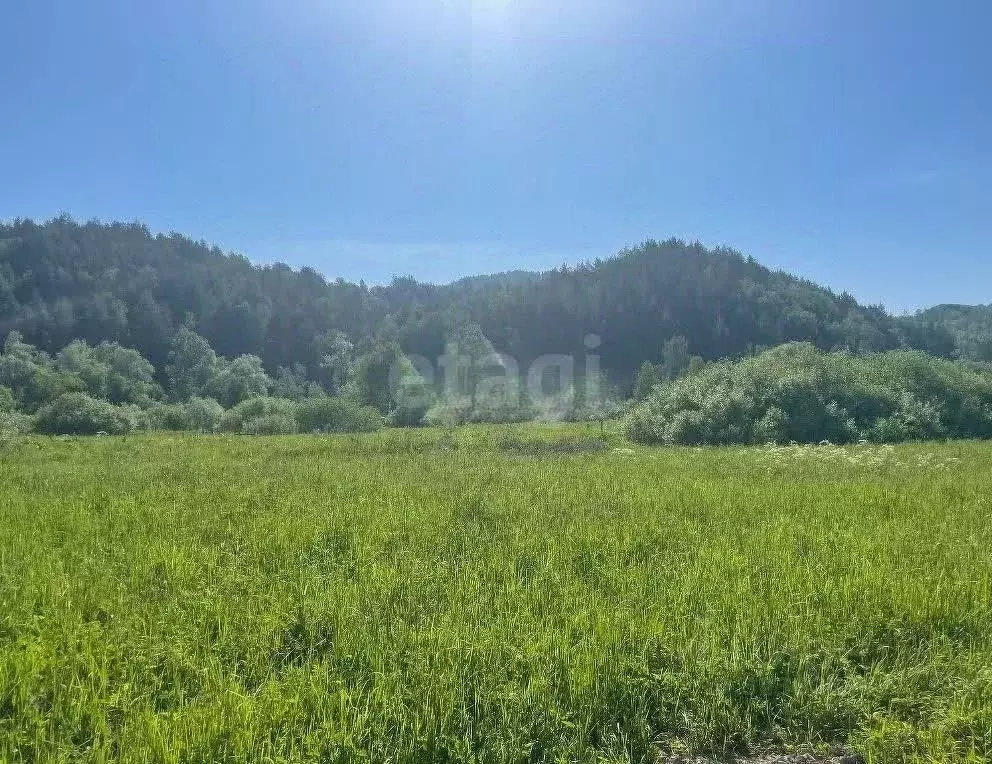 Участок в Алтай, Майминский район, Поселок филиал ул. Мира, 17 (10.0 ... - Фото 2