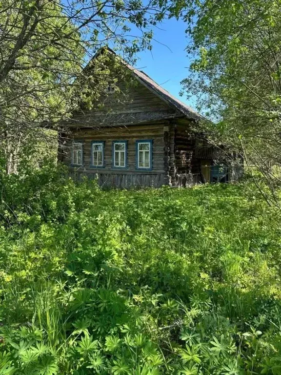 Дом в Тверская область, Рамешковский муниципальный округ, д. ... - Фото 1