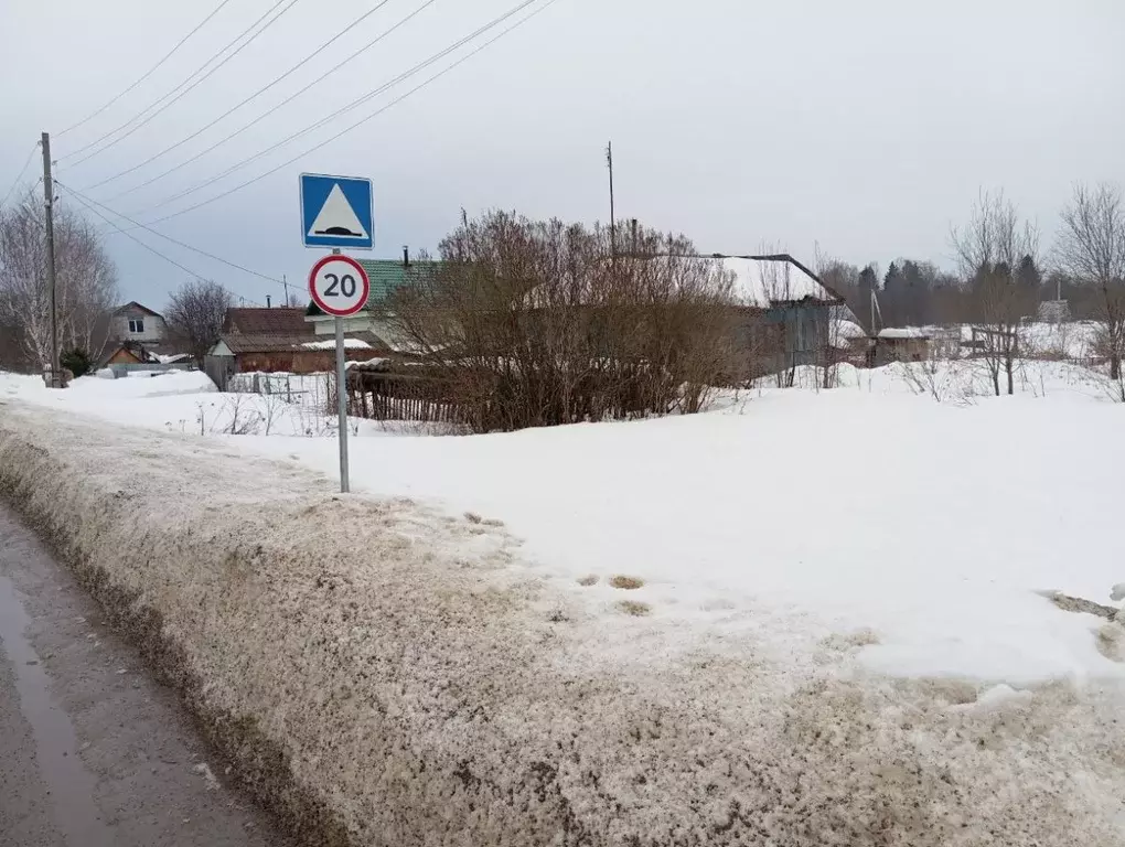 Участок в Пермский край, Пермский муниципальный округ, с. Платошино ... - Фото 1