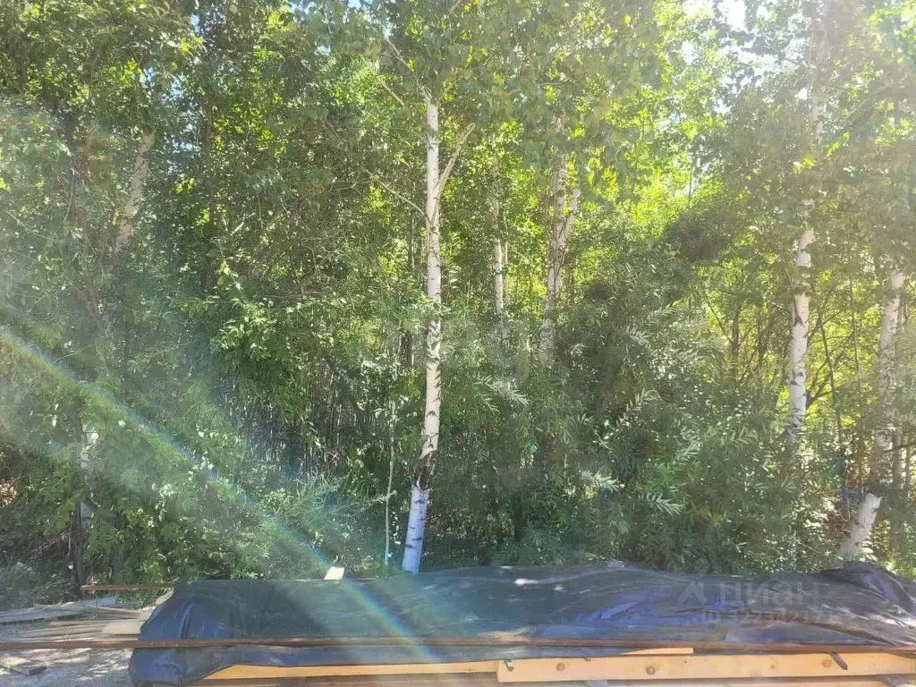 Участок в Амурская область, Благовещенск Урожай СТ,  (9.0 сот.) - Фото 1