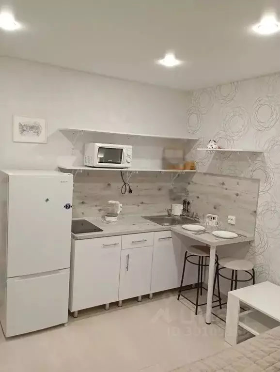 Студия Татарстан, Казань Ботаническая ул., 23/31к2 (20.0 м) - Фото 1