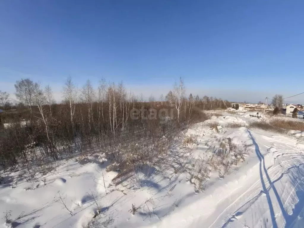 Участок в Тюменская область, Тюмень Поле Чудес садовое товарищество, ... - Фото 1