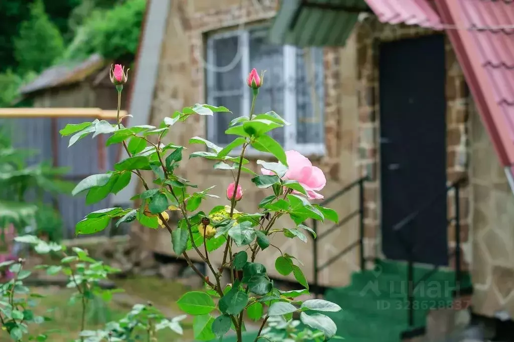 Дом в Краснодарский край, Сочи городской округ, с. Пластунка, ... - Фото 1