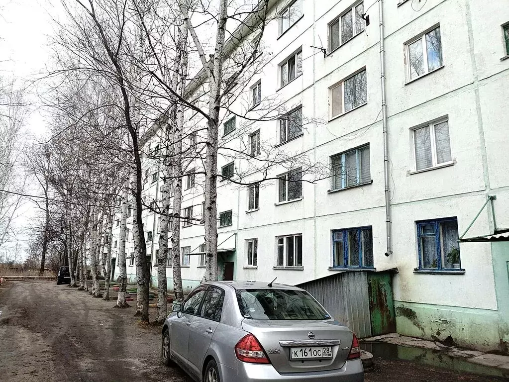 1-комнатная квартира: село Возжаевка, Центральная улица, 5 (35.5 м) - Фото 0