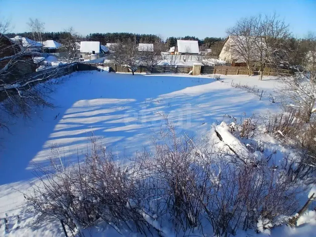 Участок в Брянская область, Брянский район, Снежское с/пос, пос. ... - Фото 2