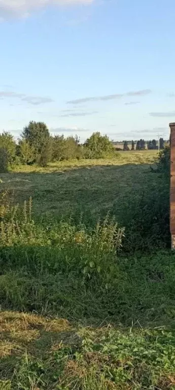 Участок в Московская область, Лотошино муниципальный округ, д. ... - Фото 1