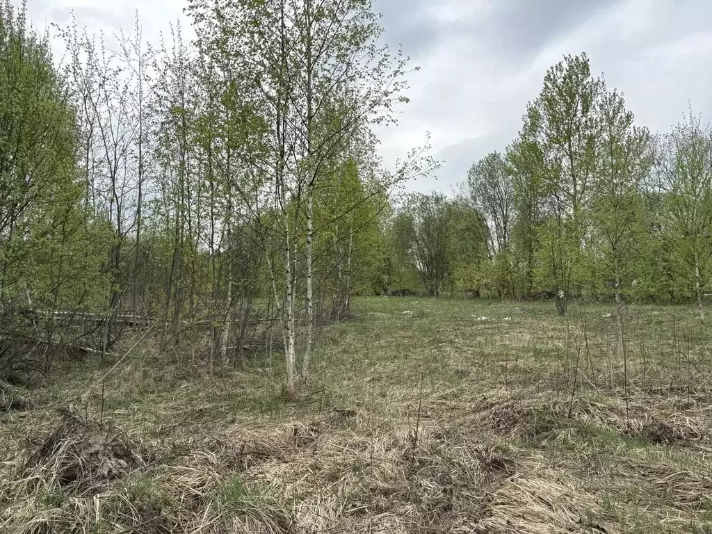 Участок в Московская область, Воскресенск городской округ, с. Ашитково ... - Фото 2
