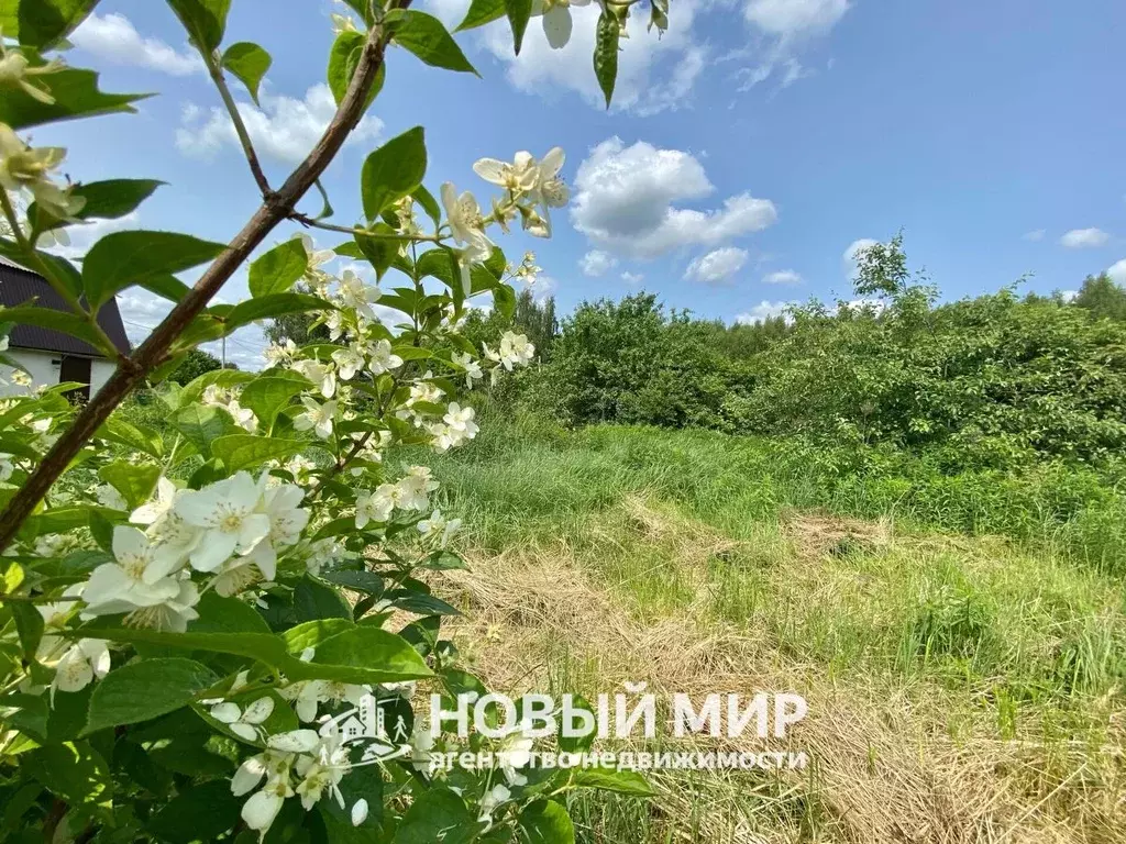 Дом в Нижегородская область, Бор Восход №2 СНТ, 64 (15 м) - Фото 1