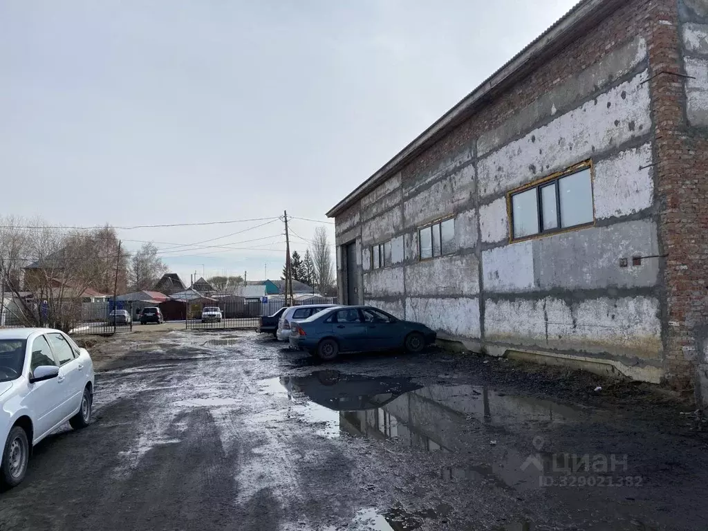 Помещение свободного назначения в Омская область, Таврическое рп пер. ... - Фото 1