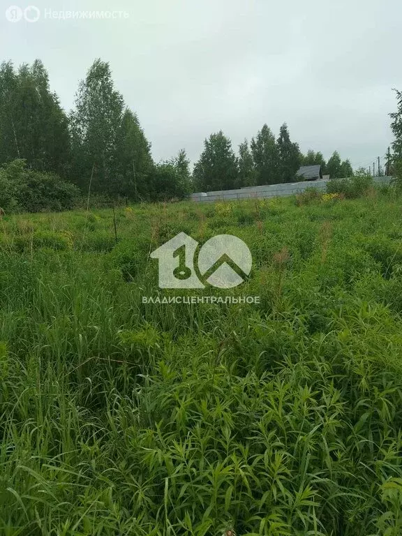 Участок в Станционный сельсовет (13 м) - Фото 0