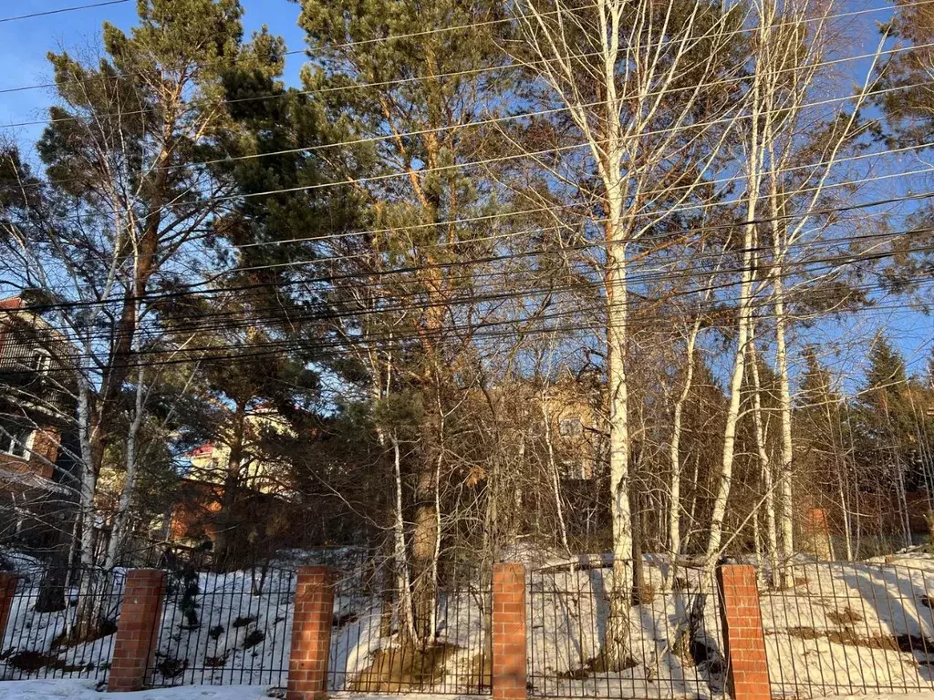 Участок в Иркутская область, Иркутск Ершовский мкр, ул. Пихтовая (8.0 ... - Фото 1