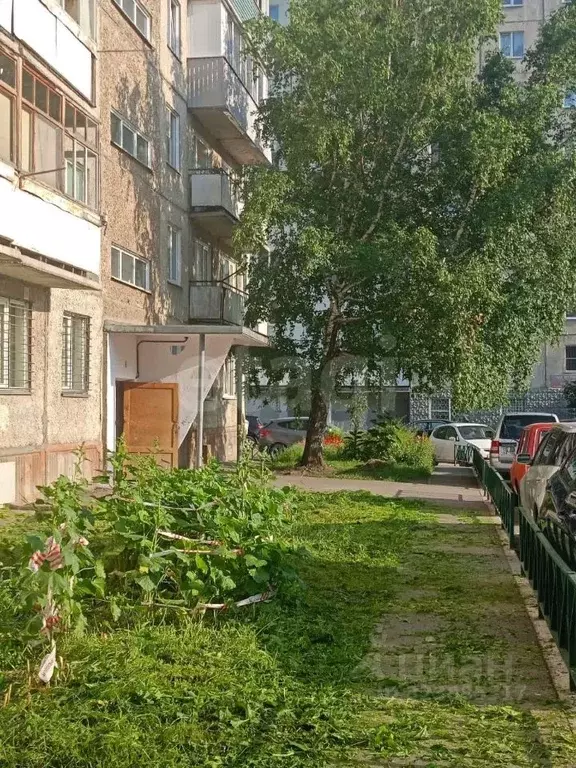 3-к кв. Алтайский край, Барнаул ул. Панфиловцев, 20 (62.0 м) - Фото 2