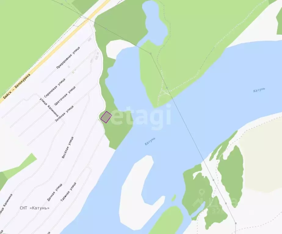 Участок в Алтайский край, Бийский район, Катунь СНТ ул. Набережная ... - Фото 2