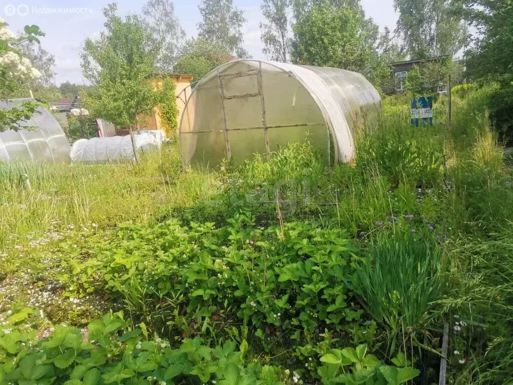 Участок в Кострома, СТ Знамя Труда (4.6 м) - Фото 1