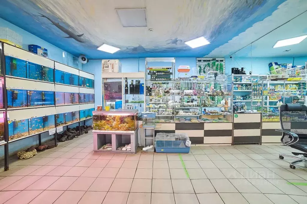 Офис в Башкортостан, Стерлитамак ул. Худайбердина, 62 (150 м) - Фото 0