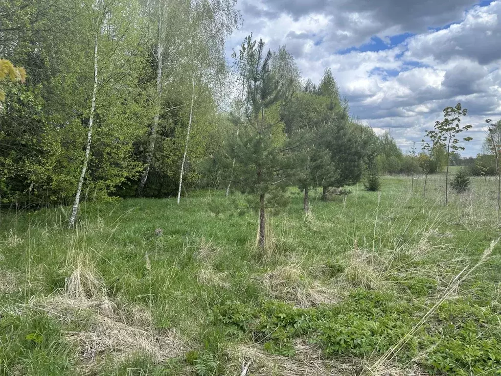 Участок в Московская область, Богородский городской округ, д. Ельня  ... - Фото 1