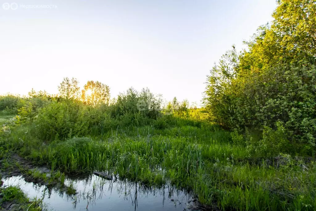 Участок в Тюменский район, село Мальково (60 м) - Фото 0