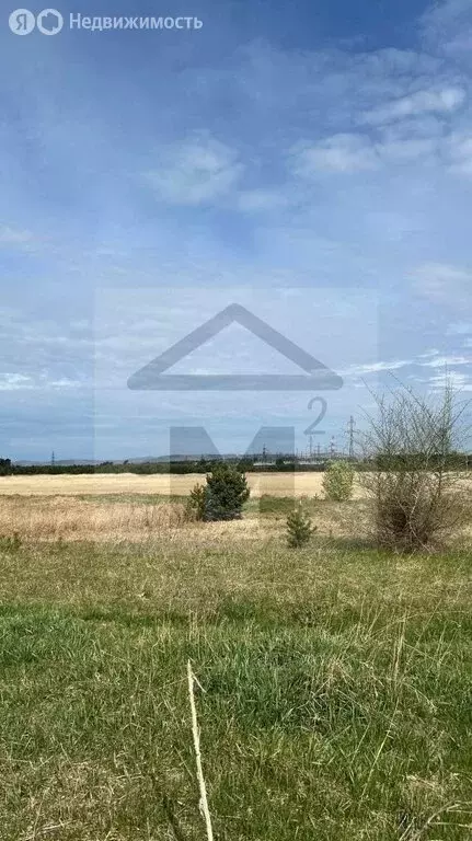 Участок в Селиванихинский сельсовет (1200 м) - Фото 1