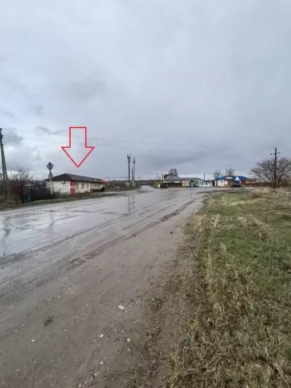 Помещение свободного назначения в Самарская область, Сызранский район, ... - Фото 2