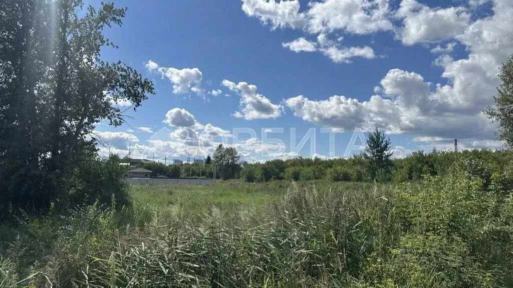 Участок в Тюменская область, Тюмень пос. Букино, ул. Полетаева (7.5 ... - Фото 2