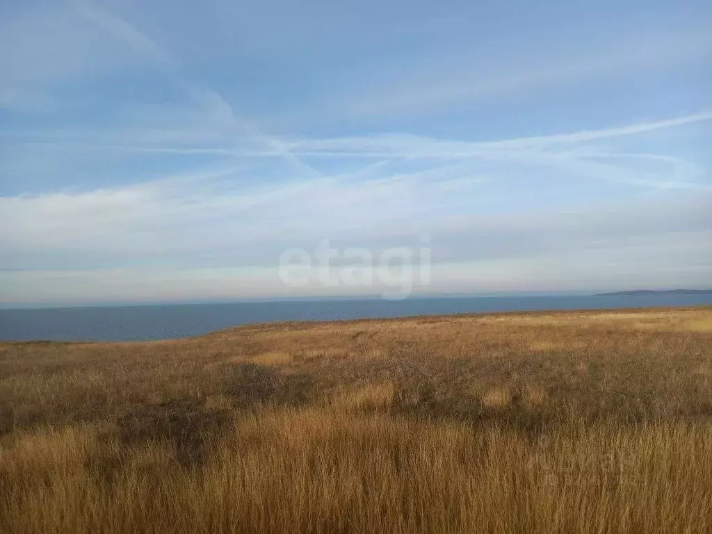 Участок в Крым, Ленинский район, Семисотское с/пос, с. Каменское ул. ... - Фото 1