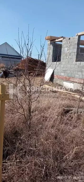 Участок в Челябинская область, Красноармейский район, Озерное с/пос, ... - Фото 1
