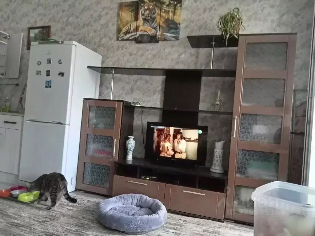 Студия Краснодарский край, Краснодар городской округ, Ленина хут. ул. ... - Фото 2