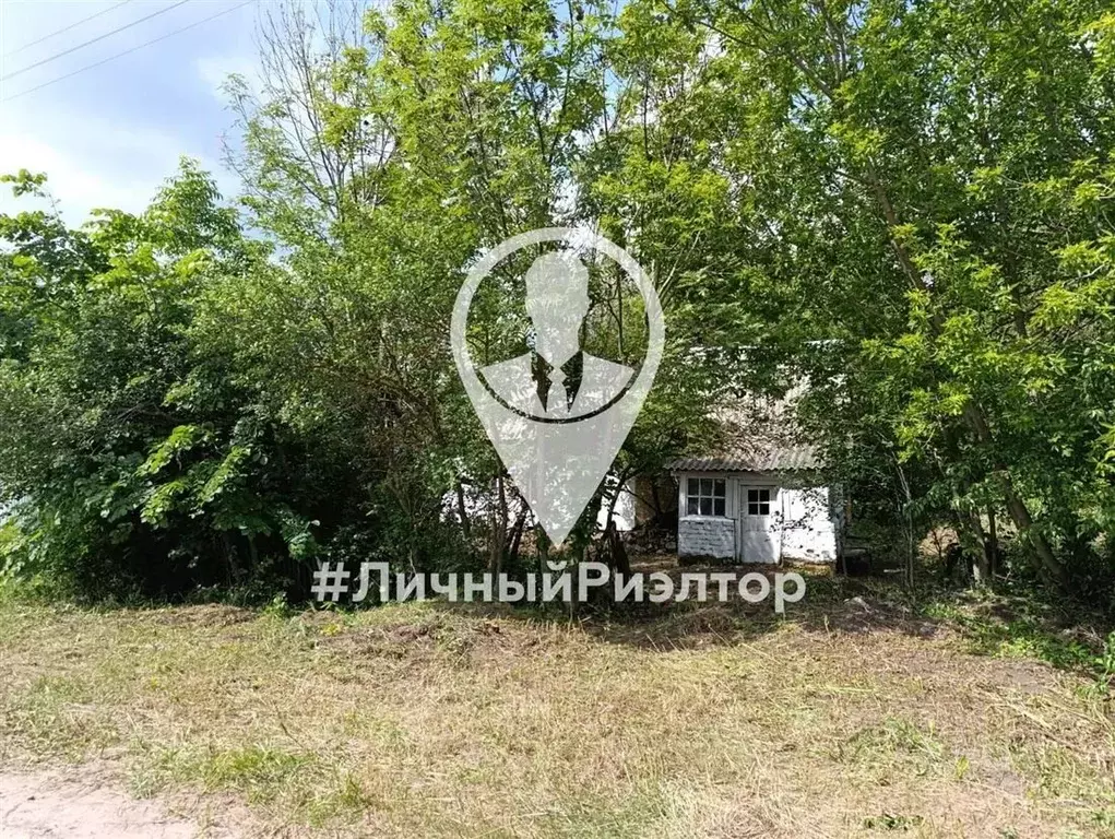 Дом в Рязанская область, Скопинский муниципальный округ, с. Пупки ул. ... - Фото 1