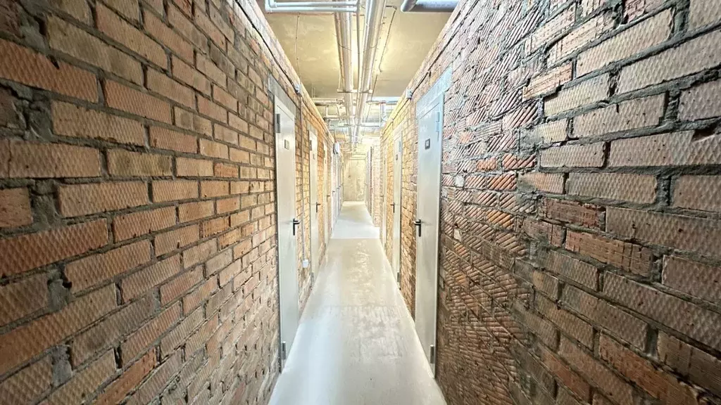 Помещение свободного назначения в Новосибирская область, Новосибирск ... - Фото 1