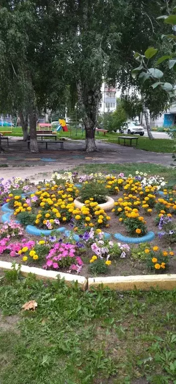 3-к кв. Курганская область, Курган Профсоюзная ул., 4 (63.0 м) - Фото 1