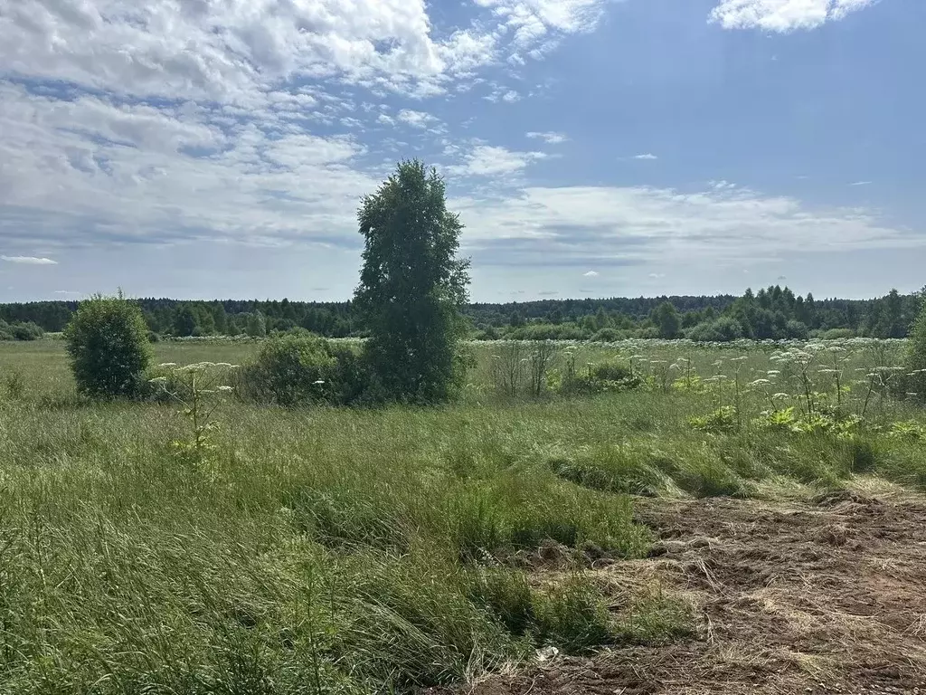 Участок в Московская область, Рузский муниципальный округ, д. ... - Фото 1