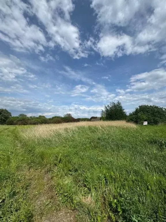 Участок в Воронежская область, с. Новая Усмань  (8.0 сот.) - Фото 1