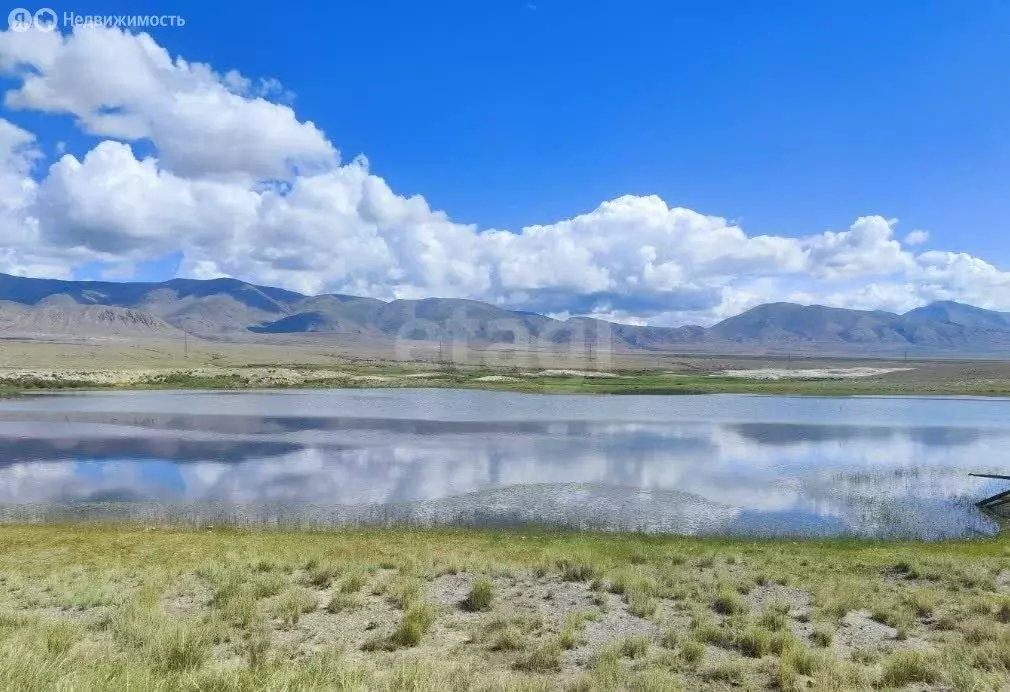 Участок в Кош-Агачский район, село Теленгит-Сортогой (32.66 м) - Фото 1