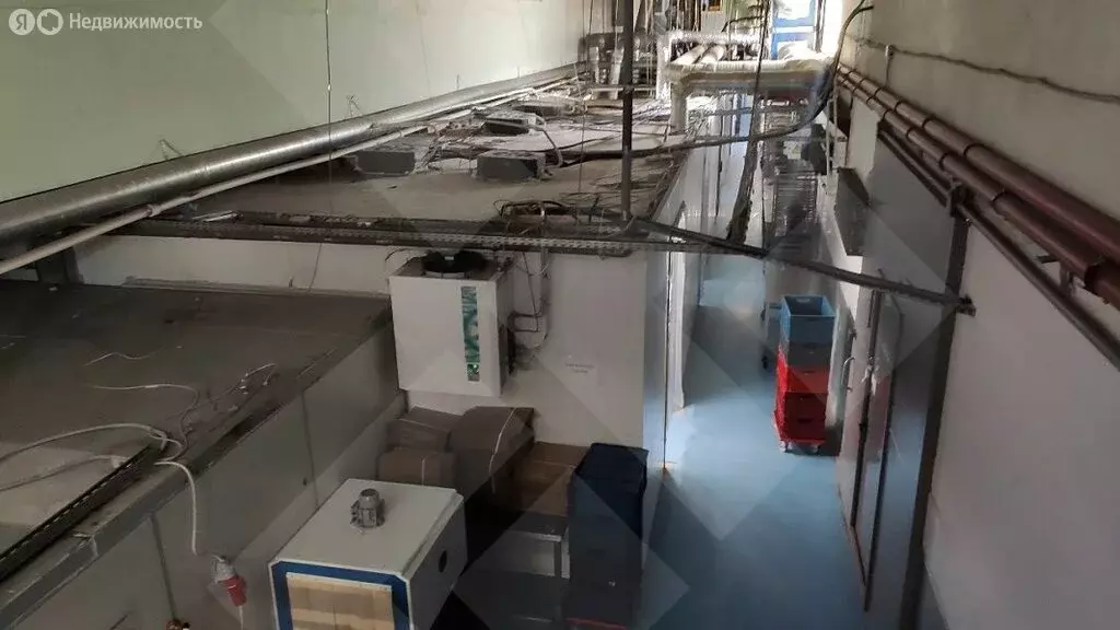 Производственное помещение (1230 м) - Фото 2