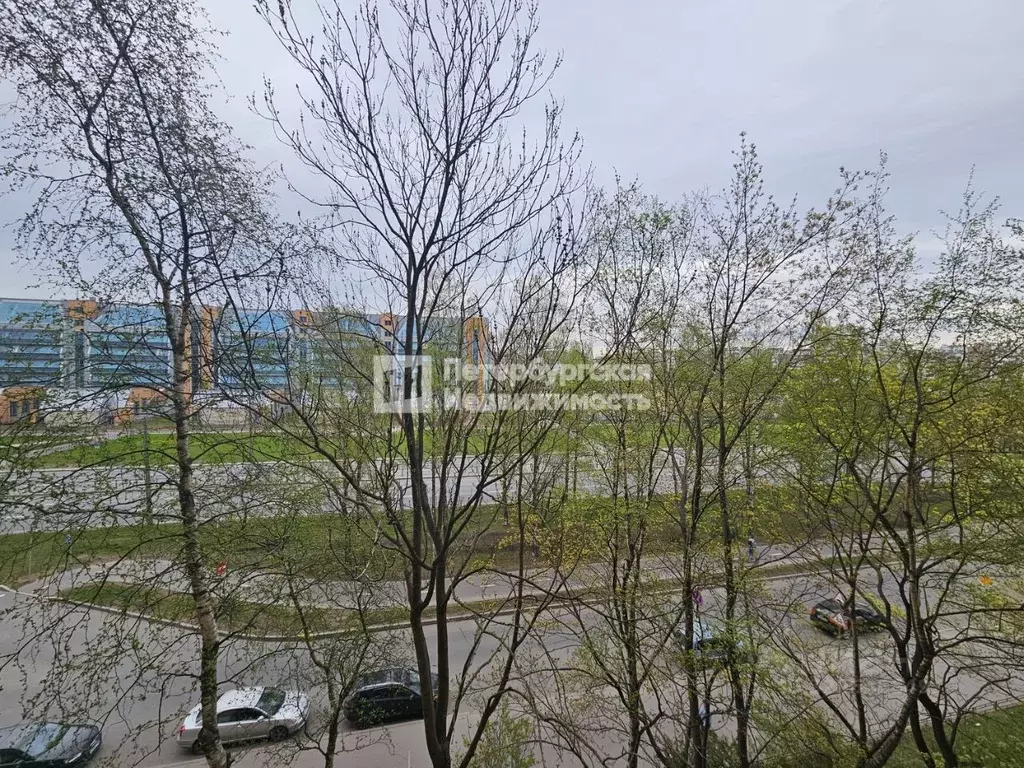 1-к кв. Санкт-Петербург ул. Шотмана, 11 (32.5 м) - Фото 0