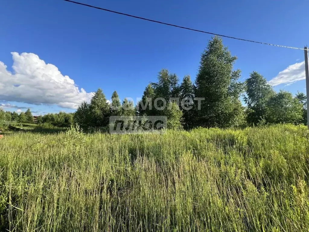 Участок в Марий Эл, Йошкар-Ола городской округ, д. Шоя-Кузнецово ул. ... - Фото 2