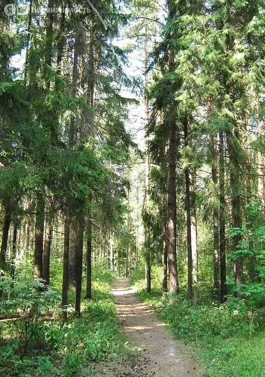 Участок в посёлок городского типа Зеленоградский, улица Чапаева, 2 ... - Фото 1