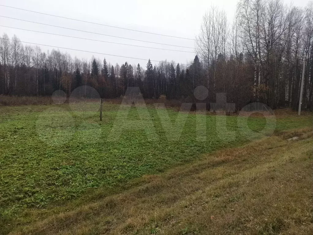 Участок 15 сот. (ИЖС) - Фото 1