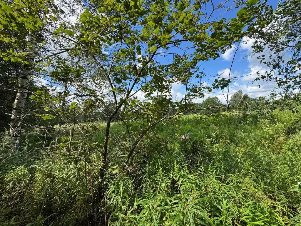 Участок в Московская область, Волоколамский муниципальный округ, д. ... - Фото 2