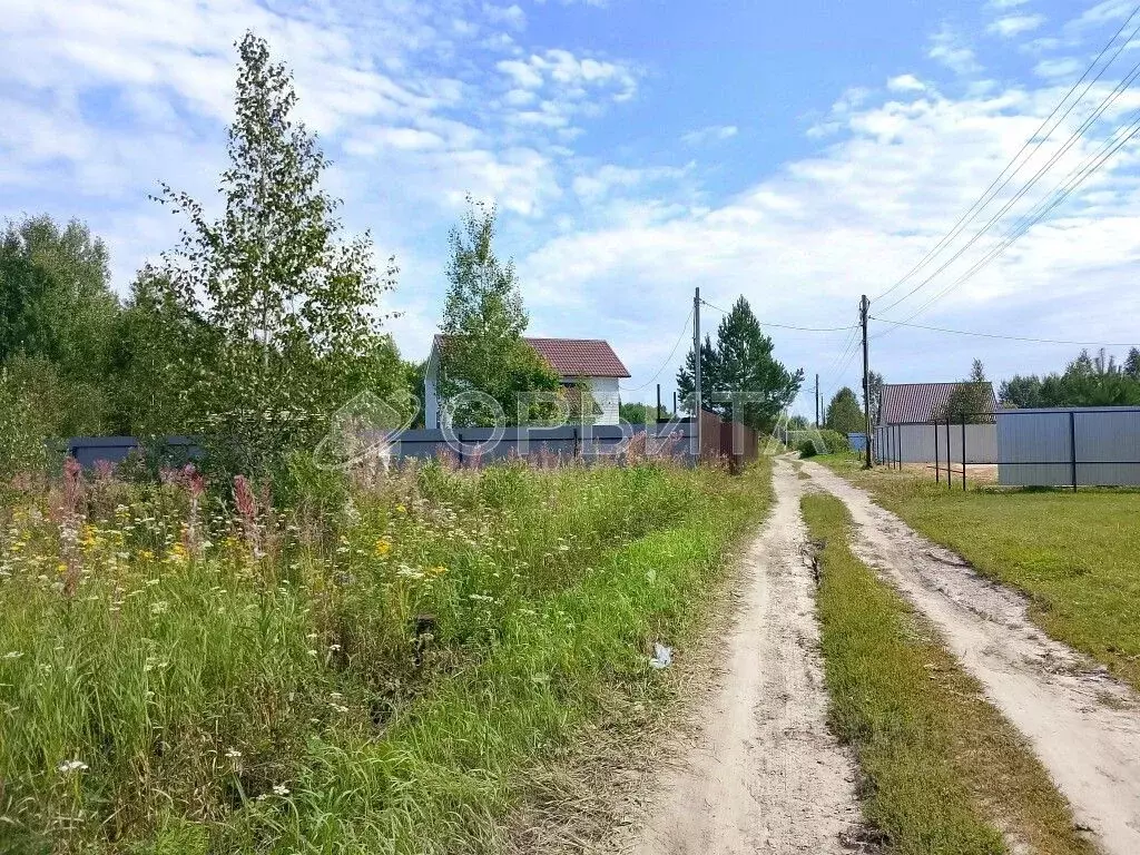 Участок в Тюменская область, Нижнетавдинский район, Сундукуль СНТ ул. ... - Фото 1