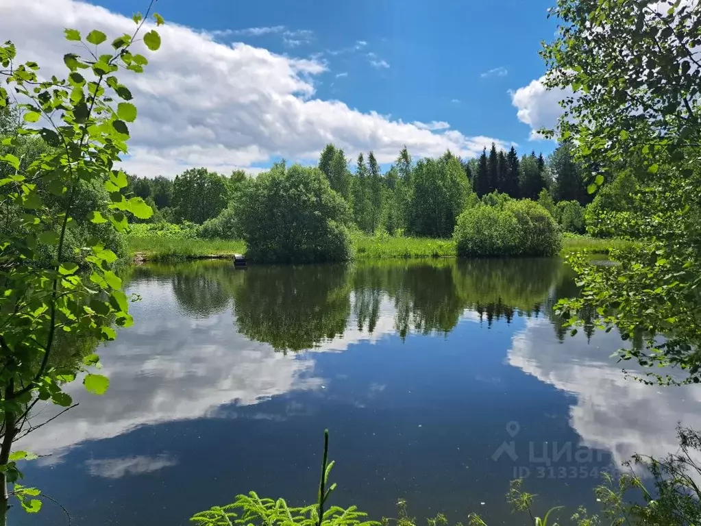 Участок в Московская область, Сергиево-Посадский городской округ, с. ... - Фото 0