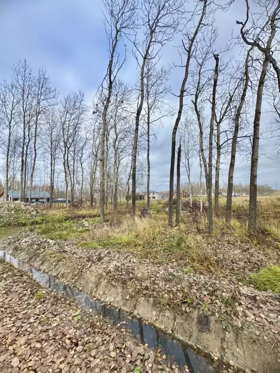 Участок в Санкт-Петербург, Санкт-Петербург, Павловск Павлов Скай кп, ... - Фото 2