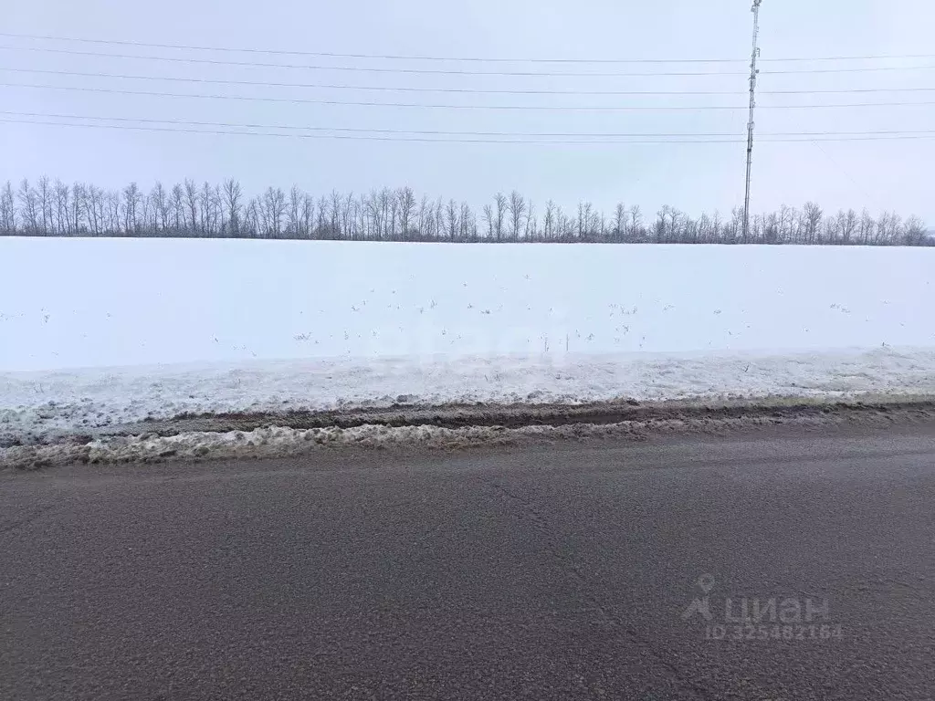 Участок в Белгородская область, Красногвардейский район, Ливенское ... - Фото 1