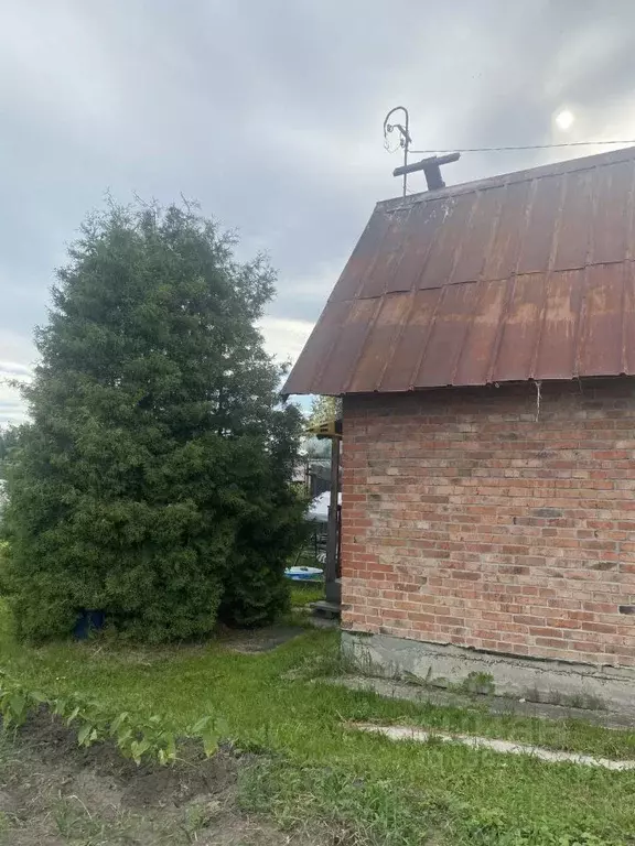 Дом в Новосибирская область, Новосибирский район, Мичуринский ... - Фото 2